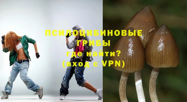 МДПВ Алзамай
